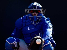 Blue Jays catcher Dioner Navarro catches at spring training in Dunedin, Fla., Tuesday, February 18, 2014. (THE CANADIAN PRESS/Frank Gunn)