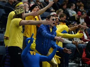 University of Windsor basketball fans cheer on the women's team during their game against Western Tues. Feb. 11, 2014, at the St. Denis Centre in Windsor. (DAN JANISSE/The Windsor Star)