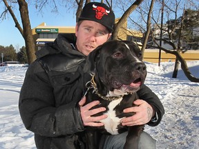 Windsor dog owner Greg Lewis and Gucci, one of his pet pit bulls, on Roseville Garden Drive, Feb. 13, 2014. (Dan Janisse / The Windsor Star)