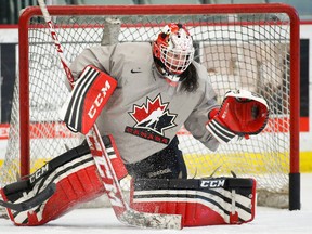 Team Canada goalie Shannon Szabados uses the helmet she will wear at the Sochi Olympic games during a team practice in Calgary, Alta., Wednesday, Jan. 15, 2014.Szabados jumped through hoops to get the helmet she wanted for the Winter Olympics. THE CANADIAN PRESS/Jeff McIntosh