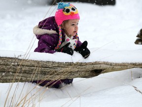 Two-year-old Emerald Robinet enjoys the Ojibway Nature Centre in Windsor on Feb. 1, 2014. (Nick Brancaccio / The Windsor Star)