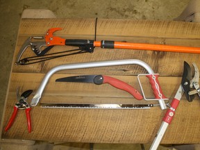 The proper tools are critical to pruning and repairing trees in the spring. (Courtesy of Mark Cullen)