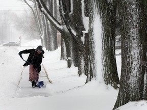 Mackenzie LaRosa, 11, shovels the sidewalk in front of her neighbour's home on Arthur Road Wednesday March 12, 2014.  LaRosa had no problem braving the cold and snowy conditions to help her mother, then help her neighbour, too!  (NICK BRANCACCIO/The Windsor Star)