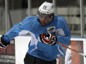 Spits forward Josh Ho-Sang skates during a drill at the WFCU Centre Tuesday. (NICK BRANCACCIO/The Windsor Star)