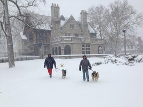 Mark Talbot, left, and Patrick Sheehy take their dogs for a lap around the picturesque Willistead Manor. (TwitPic: Nick Brancaccio/The Windsor Star)