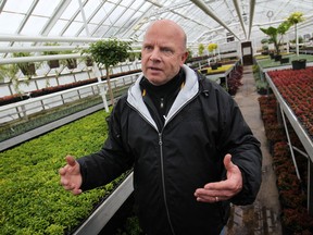 Dave Tootill, parks supervisor for horticulture on March 27, 2014 says part of the problem with with winter-killed plants was that Windsor has usually been sheltered from harsh weather in the past, leading to gardeners choosing trees less suited for a winter climate. (DAX MELMER/The Windsor Star)