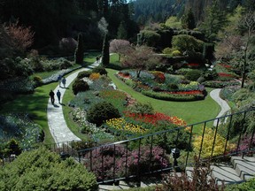 Hard to believe when you look at it now, but the sunken garden at Butchart Gardens was once a bleak limestone quarry.  (Hardip Johal / Postmedia News)