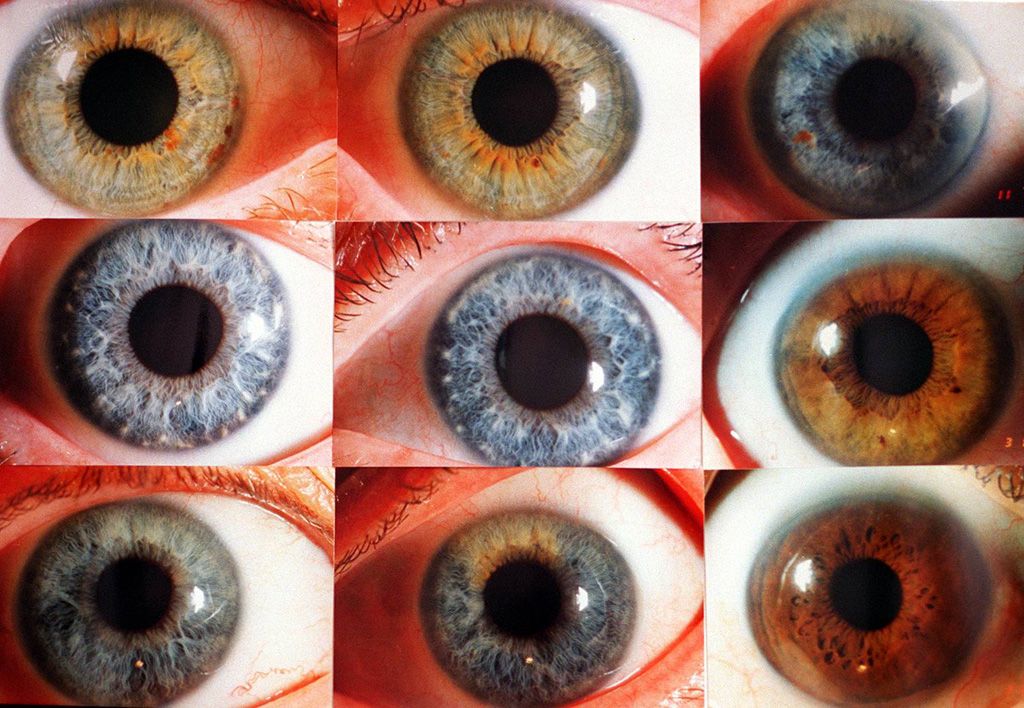 Dr. Todd Wilbee Eye care Windsor Star