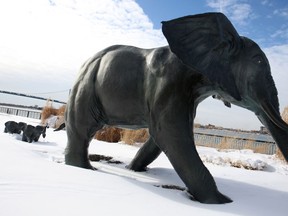 Tembo was named by Windsor Star readers as their favourite riverfront sculpture following a bracket showdown that raged for a week. (Dax Melmer/The Windsor Star)
