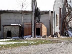 A couple of doghouses in a yard in Maidstone on April 15, 2014. (Jason Kryk / The Windsor Star)