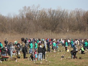 Hundreds came out to the Little River Corridor to plant trees for the Essex Region Conservation Authority's annual Earth Day Tree Planting Celebration, Sunday, April 27, 2014.  (DAX MELMER/The Windsor Star)