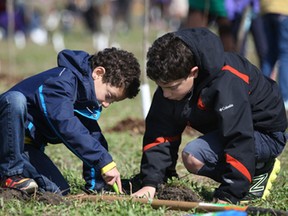 Ziyad Emara, 8, left, and Yousef Emara, 10, help plant trees for the Essex Region Conservation Authority's annual Earth Day Tree Planting Celebration, Sunday, April 27, 2014.  (DAX MELMER/The Windsor Star)