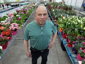 Fred Bouzide from Fred's Farm Fresh is seen with the start of his seasonal flowers at his store in Windsor on Wednesday, April 30, 2014. Fred's has many varieties but like many others does not have any Impatiens yet. He is expecting a shipment this weekend.                     (TYLER BROWNBRIDGE/The Windsor Star)