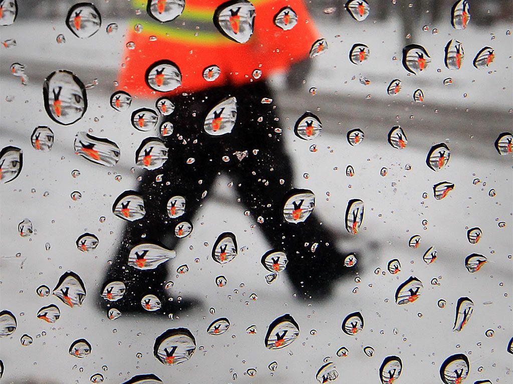 Windsor, Ontario, Environment Canada, Essex Region Conservation