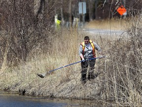 Jake Fracas does some spring cleanup at the Ojibway Park in Windsor, Ont. on Wednesday, April 23, 2014.  (DAN JANISSE/The Windsor Star)