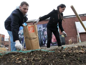 The United Way of Windsor-Essex County launched a youth volunteer challenge program on Monday, April 7, 2014, at the Ford City community garden in Windsor, Ont. The aim of the challenge is to get youth involved in their community. Aaron Botton and Shadan Shirin-Bayan weed through some soil. (DAN JANISSE/The Windsor Star)