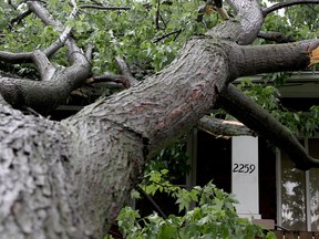 A portion of a tree lays on a home located on Lillian Street, following a storm Tuesday, May 27. Residents inspected damage after the storm passed and utility crews worked in the area. (RICK DAWES/The Windsor Star)