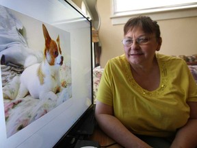 Darla Oltean is shown with a photo of her dog Atticus who was attacked and killed by two larger dogs recently. (DAN JANISSE/The Windsor Star)