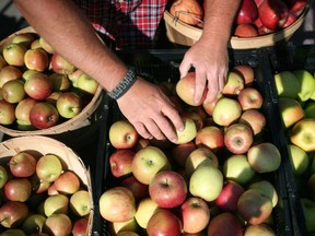 Andy Tir, from Tir Farm Apple Orchards, displays his apples on the opening day of the Downtown Farmer's Market at Charles Clark Square in downtown Windsor, Saturday, May 31, 2014.  (DAX MELMER/The Windsor Star)