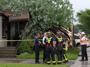 Windsor firefighters work at the scene of a fallen tree that fell on two homes on the 1600 block of George Ave., Tuesday, May 27, 2014.  The tree punctured the roof of one of the trees nearly striking one of the elderly homeowners.  No injuries have been reported.  (DAX MELMER/The Windsor Star)