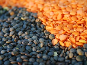 Canada’s national lentil marketing board has designed an interactive website with lentil-based recipes from around the world. Check out lentilhunter.ca. (Dee Hobsbawn-Smith / Postmedia News files)
