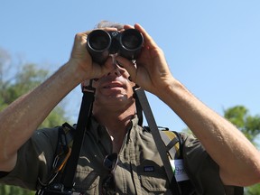 Steve Pike, a naturalist, searches for butterflies and dragonflies through a pair of binoculars at the inaugural Bioblitz at the Ojibway Prairie Complex, Saturday, June 28, 2014. (DAX MELMER/The Windsor Star)