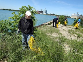Terry Kennedy joins other volunteers as they clean the shoreline on Sandwich in Windsor on Saturday, June 14, 2014. Volunteers scoured the shore picking up fishing line, coffee cups and anything else they came across. The event was part of the Great Canadian Shoreline Cleanup. (Tyler Brownbridge/The Windsor Star)