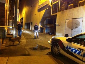 Windsor police dog unit sniffing out back alley behind Windsor Star after downtown stabbing. (DOUG SCHMIDT/ The Windsor Star)