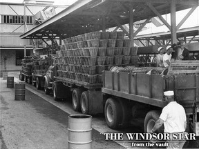 The tomato season has begun. H.J. Heinz Company in Leamington received its first shipment on Aug. 9, 1967. (FILES/The Windsor Star)