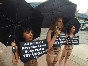 From left, Shalayna Allen, Nives Brkic and Emily Lavender hold a PETA protest on Liberty Way and Park Street east in Windsor, Ontario on June 24, 2014. (JASON KRYK/The Windsor Star)
