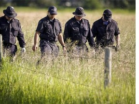Police investigators comb a hay field north of Airdrie, Alta., Saturday, July 5, 2014, looking for clues to the disappearance of three people. THE CANADIAN PRESS/Jeff McIntosh