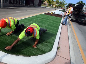 Green Day! -- Turf installers Richard Drouillard, left, Frank Espinola and Jay O'Connell of Pierascenzi Const. lay down 10-foot wide sections of turf on Wyandotte Street East July 02, 2014. Medians on Wyandotte Street East between St. Rose and Jefferson Avenue will be beautified with the all-season greenery. (NICK BRANCACCIO/The Windsor Star)
