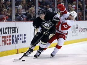 Detroit's Tomas Tatar, right, battles Pittsburgh's Matt Niskanen during a game in Detroit. The Washington Capitals signed Niskanen to a seven-year deal on July 1, 2014.. (AP Photo/Duane Burleson, File)