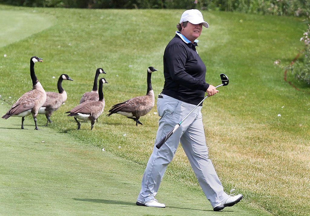 Photos: Ontario Senior Women's Golf Championship | Windsor Star