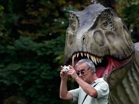 A visitor takes a picture during the Dinosaurs exhibition in Belgrade, Serbia, Thursday, Aug. 21, 2014. ''Dino Park" has been opened at Belgrade?s Kalemegdan Fortress. (AP Photo/Darko Vojinovic)