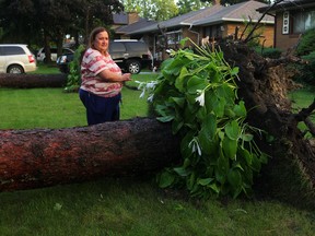 Shirley Mladenovic of Glenwood Avenue in South Windsor will be able to transplant her hostas, but lost a pair of 70-foot pine trees during Tuesday's storm,  August 19, 2014.   (NICK BRANCACCIO/The Windsor Star)