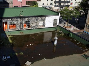 Jill Nelson and many other Ouellette Avenue residents are shocked little has been done to alleviate concerns over a stagnant, rooftop pond located at 755 Ouellette Avenue August 28, 2014.  Marsh-like vegetaton has taken root alongside the broken bottles and debris. (NICK BRANCACCIO/The Windsor Star)