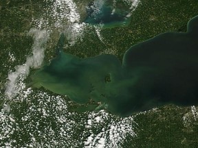 Algae bloom in the western basin of Lake Erie are pictured on Aug. 25, 2014. (Courtesy of NASA)