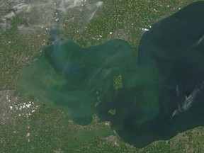 Algae blooms in Lake Erie are shown in this Aug. 4, 2014 photo. (NASA image courtesy Jeff Schmaltz, LANCE/EOSDIS MODIS Rapid Response Team at NASA GSFC)