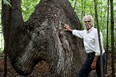 Author Dennis Downes stands beside a trail marker tree in Kingsville Golf and Country Club, Wednesday, Aug. 21. Trail marker trees were used by native americans to landmark areas of resource like hunting areas, fishing, and safe river crossings to name a few. (RICK DAWES/The Windsor Star)