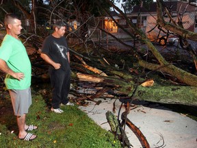 Downtown Windsor residents Tim Meyers (L) and Ron Deroches look at the tree that fell in the 400 block of Victoria Avenue on Aug. 26, 2014. (Nick Brancaccio / The WIndsor Star)
