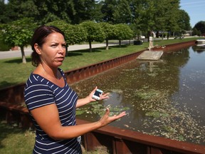 Jennifer Poisson, a resident of Andrew Cres. in Belle River, looks over Belle River Canal where hundreds of fish have turned up dead, Friday, August 15, 2014.  (DAX MELMER/The Windsor Star)