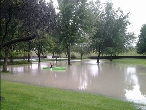 An opportunist takes advantage of Monday's deluge in his backyard near Ojibway Parkway and Broadway Boulevard on Aug. 11, 2014. (Freckles Anne Bunsky/Special To The Star)