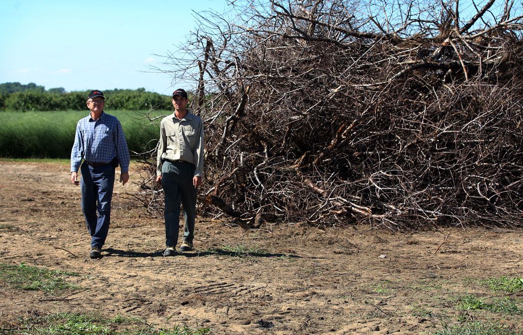 What happened to peaches this summer? Blame the winter. Windsor Star