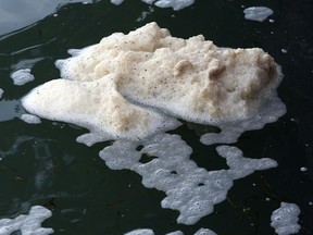 Riverside Drive East residents are concerned over patches of oily foam which floats from near Lake St. Clair and into the Detroit River Friday September 19, 2014. (NICK BRANCACCIO/The Windsor Star)