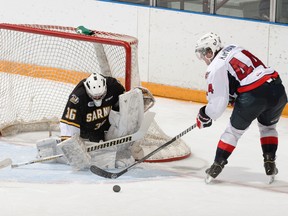 Windsor's Luke Kirwin, right, looks for a rebound in front of Sarnia goalie  Justin Fazio during OHL pre-season action on Friday, September 12, 2014. (Photo courtesy Darren Metcalfe Photography)
