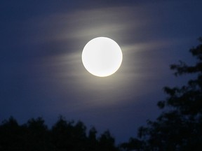 A harvest moon rises above the city of Windsor, ON. on Monday, Sept. 8, 2014.(DAN JANISSE/The Windsor Star)