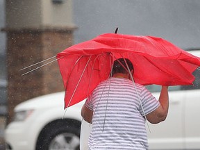 An unidentified woman  wrestles with an umbrella during heavy rain in Tecumseh, Ontario on September 10, 2014. (JASON KRYK/The Windsor Star)