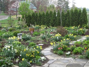 Mark Cullen's spring garden was inspired by St. James Park in the heart of London. (Courtesy of Mark Cullen)