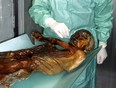 Undated picture released June 6, 2007 shows the frozen corpse of the mummified 5,300-year-old iceman named Otzi whose frozen body was discovered in a glacier in the Alps in 1991. (HO / AFP / Getty Images)